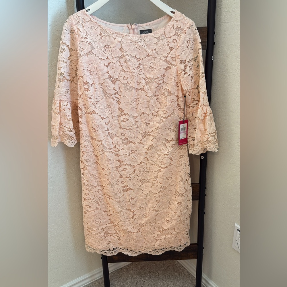 Vince Camuto Blush Lace Long Sleeve Dress